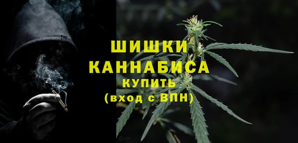 прущие грибы Баксан