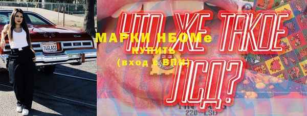 прущие грибы Баксан