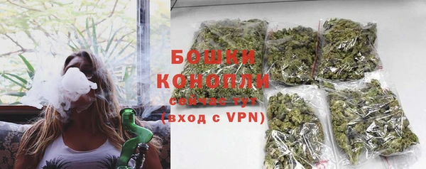 прущие грибы Баксан