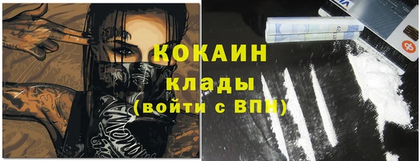 прущие грибы Баксан