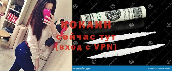 прущие грибы Баксан