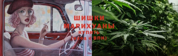 прущие грибы Баксан